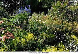 Landscaped English Garden At Cothay Manor Stately Home And Manor In Wellington Somerset Uk English Garden Design English Garden Garden Design