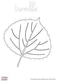 fiches et pdf a telecharger feuille arbre arbres en papier coloriage de tigre