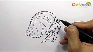 Dec 14, 2008 · now that you have the basic frame work down for this little guy you will start drawing out the shape of his front claws and then his three part legs. How To Draw Hermit Crab Easy Youtube