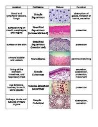 Pin On Miss Lane S Science