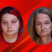 APD: Duo jailed after 5 young children & dog found living in 'deplorable  conditions'