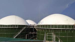 Maybe you would like to learn more about one of these? Feature Projects Hextar Biogas Bee Sdn Bhd