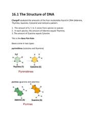 Best dna molecule and replication worksheet answers consult from structure of dna and replication worksheet answers , source:gfactorconsulting.com you have all your materials. The Structure Of Dna
