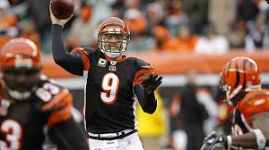 Cincinnati Bengals 2010 Preview Espn