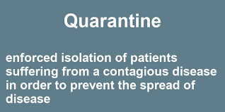 Quarantine In A Sentence 45 Real Example Sentences