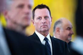 Trump's New Spy Chief Once Got $100,000 from a Group Funded by the  Hungarian Government but Never Reported It — ProPublica