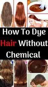 How To Dye Hair Naturally Without Chemicals Natural Hair Care Routine Dyed Hair Hair Growth Foods