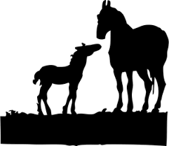 Image result for horse and colt clip art