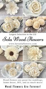 But because they are made out of tapioca root (sola), they are naturally all white. Luv Sola Flowers Luvsolaflowers Profile Pinterest