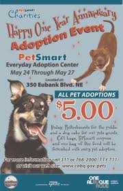 Maybe you would like to learn more about one of these? Animal Welfare S Everyday Adoption Center Anniversary