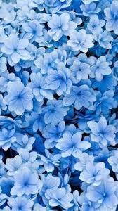 Pin By Guide19 On Phone Wallpaper Blue Flower Wallpaper Spring Wallpaper Spring Desktop Wallpaper