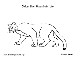 In some sheets, the lions are seen roaring, some show them lazing around. Mountain Lion Coloring Page