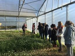 31 Toulouse Metropole Visite Des Jardins Du Girou Defi Des Familles A Alimentation Positive