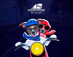 Brazil autoseg app is listed in auto & vehicles category of app store. Diego Altran On Behance