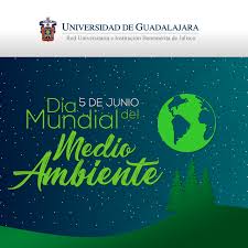 Medio ambiente natural responsabilidad social corporativa medio ambiente protección del medio ambiente, medio ambiente, hoja, hierba, limpieza png ambiente natural protección del medio ambiente materia prima recurso respetuoso con el medio ambiente, tierra verde, empresa, ambiental, fondo de pantalla de la computadora png 5 De Junio De 2019 Dia Mundial Del Medio Ambiente Universidad De Guadalajara