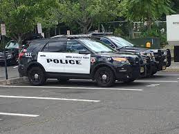680 Police Vehicles Ideas Police Police Cars Emergency Vehicles