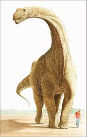 Brontosaurus Lived In North America 201 3 To 145 0 Million Years Ago Jura Dinosaur Dinosaur Fossils Prehistoric Animals