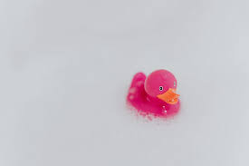 We did not find results for: Rubber Ducky 1080p 2k 4k 5k Hd Wallpapers Free Download Wallpaper Flare