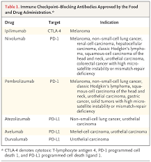 Image result for Immune Checkpoint Inhibitor