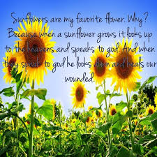God Is With You No Matter What Flower Quotes Sunflower Quotes Sunflower Pictures