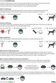 Classical Conditioning And Its Role In Therapy Classical Conditioning Psychology Introduction To Psychology Online Nursing Schools