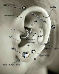 Rafaela Simao Piercings Piercings De Ouvido Orelha
