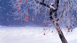 Teste uns kostenlos & unverbindlich und lass dich von unserem angebot überzeugen. Gratis Winter Wallpaper 2016 Schieb De