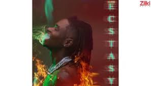 Ybnl empire vibes machine, fireboy dml returns to the . Fireboy Dml Lifestyle Lyrics Crownlyric Com