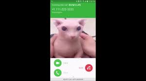 Pick Up The Phone Baby Bingus Youtube