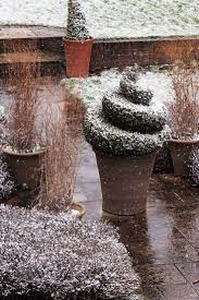 So, for now, i do what i can to plant in the existing beds around the condo and in pots in front and back. Winter Gardening What Not To Do Or What Not To Worry About The Middle Sized Garden Gardening Blog