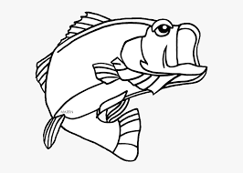 Download Svg Black And White Bass Fishing Clipart Black And Largemouth Bass Florida State Fish Hd Png Download Kindpng