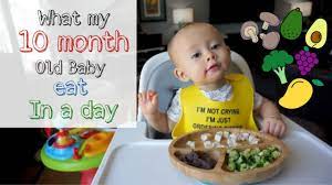Fast & free shipping in usa. What My 10 Month Old Baby Eat In A Day Youtube
