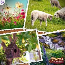 Filling up spaces with a higher flower count is an easy way to increase your total flower count. June S Journey On Twitter It S The Start Of A Beautiful New Season And A Brand New Decoration Set Can You Tell What S In Store For Your Island Detectives Https T Co Xoowyvjzvo Https T Co Lzggouunla