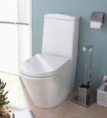 Deco Wc Quelle Peinture Choisir Pour Les Toilettes Deco Wc Toilette Design Peinture Toilettes