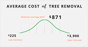 Average Cost Of Tree Removal Tree Trimming Cost Tree Removal Cost Tree Trimming