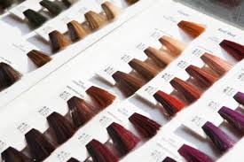Loreal Permanent Hair Colour Shades Chart Www
