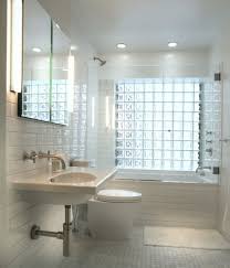 Mather Bath Reno Idea For More Light Badgestaltung Glasbausteine Badezimmer Innenausstattung