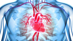 Top Causes of Heart Failure - CVRTI