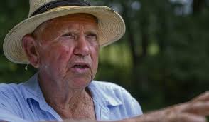 Giant Bell Township oak may be one of the biggest in the state