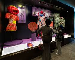 Image result for Afrosolen schimperi