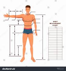 We did not find results for: Male Body Measurement Chart Scheme For Royalty Free Stock Vector 417432586 Avopix Com