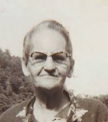 Susan Ellen Engle, Susan Whitehead, Susan Cornett, Susan Wells Genealogy