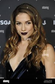 Peter allison hi-res stock photography and images