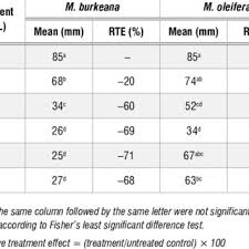 Image result for Monsonia burkeana