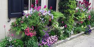 With so many charleston houses built right up the the sidewalk edge, window boxes often act as a decorative front yard. Charleston S Wonderful Window Boxes Southern Living
