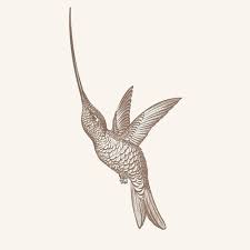 We did not find results for: We Want Turn A Hummingbird Drawing Into A Digitalized Logo Logo Design Contest 99designs