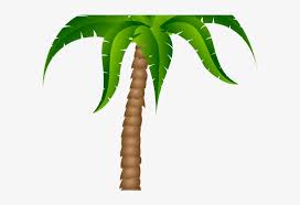 Christmas Lights Clipart Palm Tree Cartoon Palm Tree Transparent Background 640x480 Png Download Pngkit To created add 40 pieces, transparent palm tree images of your project files with the background cleaned.