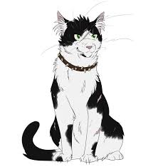 Warrior Cats 038 Bone By Kuroi Hitsuji Warriorcatsbooks Warrior Cats Warrior Cats Art Warrior Cats Books