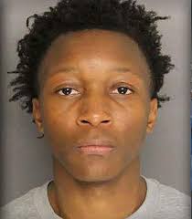 A 30-year-old Goose Creek resident, Chavas Rhodes, was taken into custody  early Tuesday morning following an incident where he allegedly threatened  his family at gunpoint and killed their dog. The incident occurred