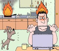 アメリカを読む辞書: 11月 2011